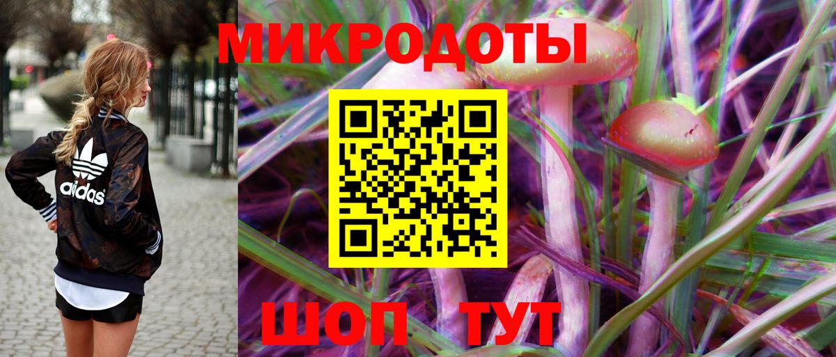 Псилоцибиновые грибы Cubensis Норильск